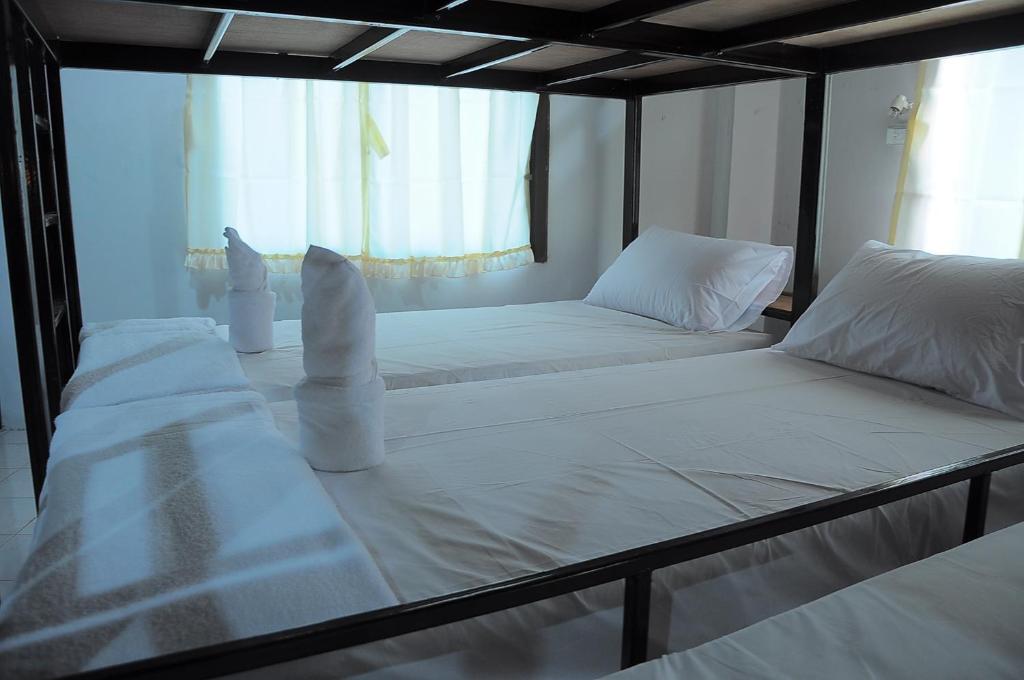 Mickey Hostel 哈林海滩 客房 照片
